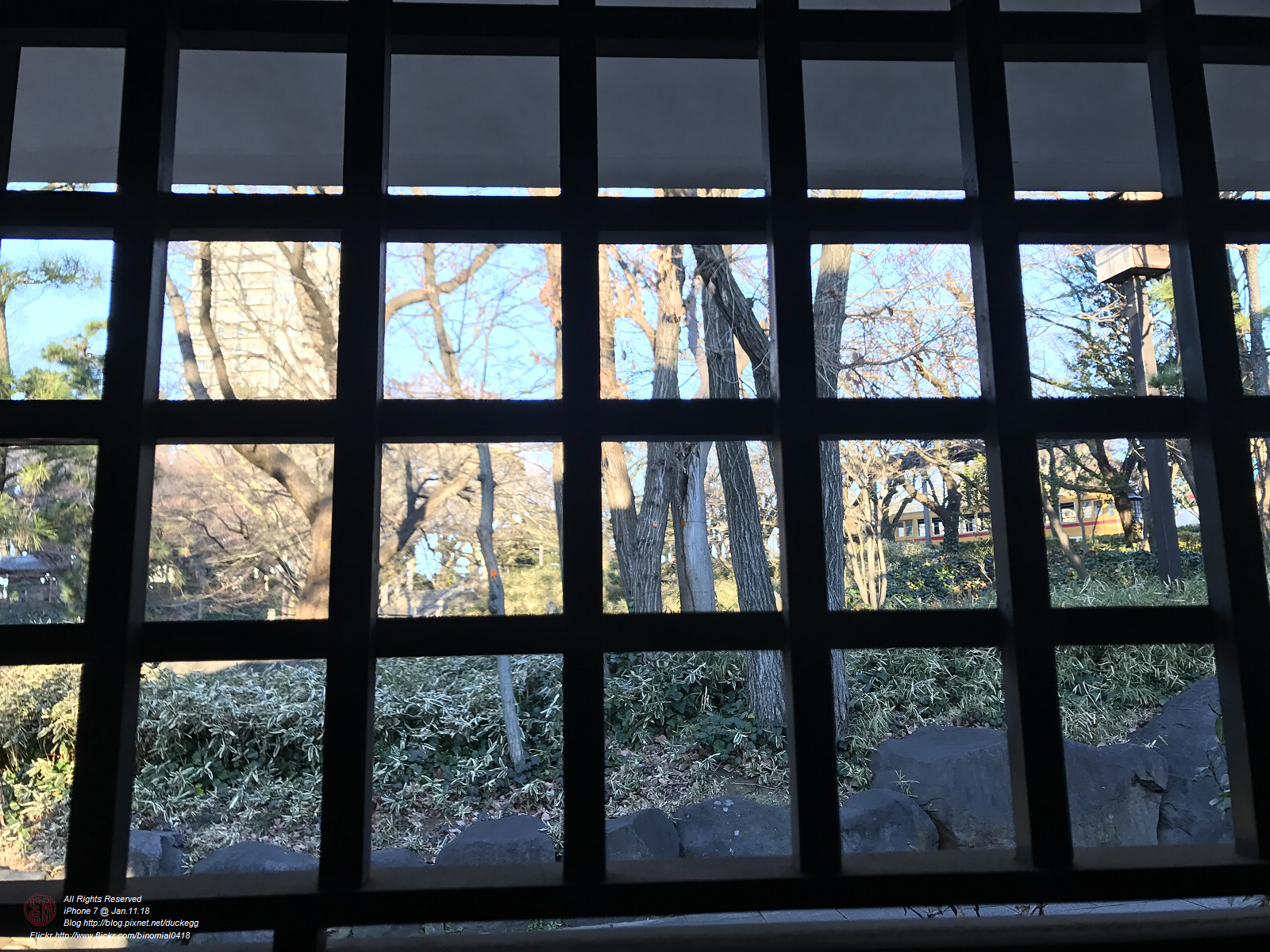20180111155943_iPhone 7.jpg